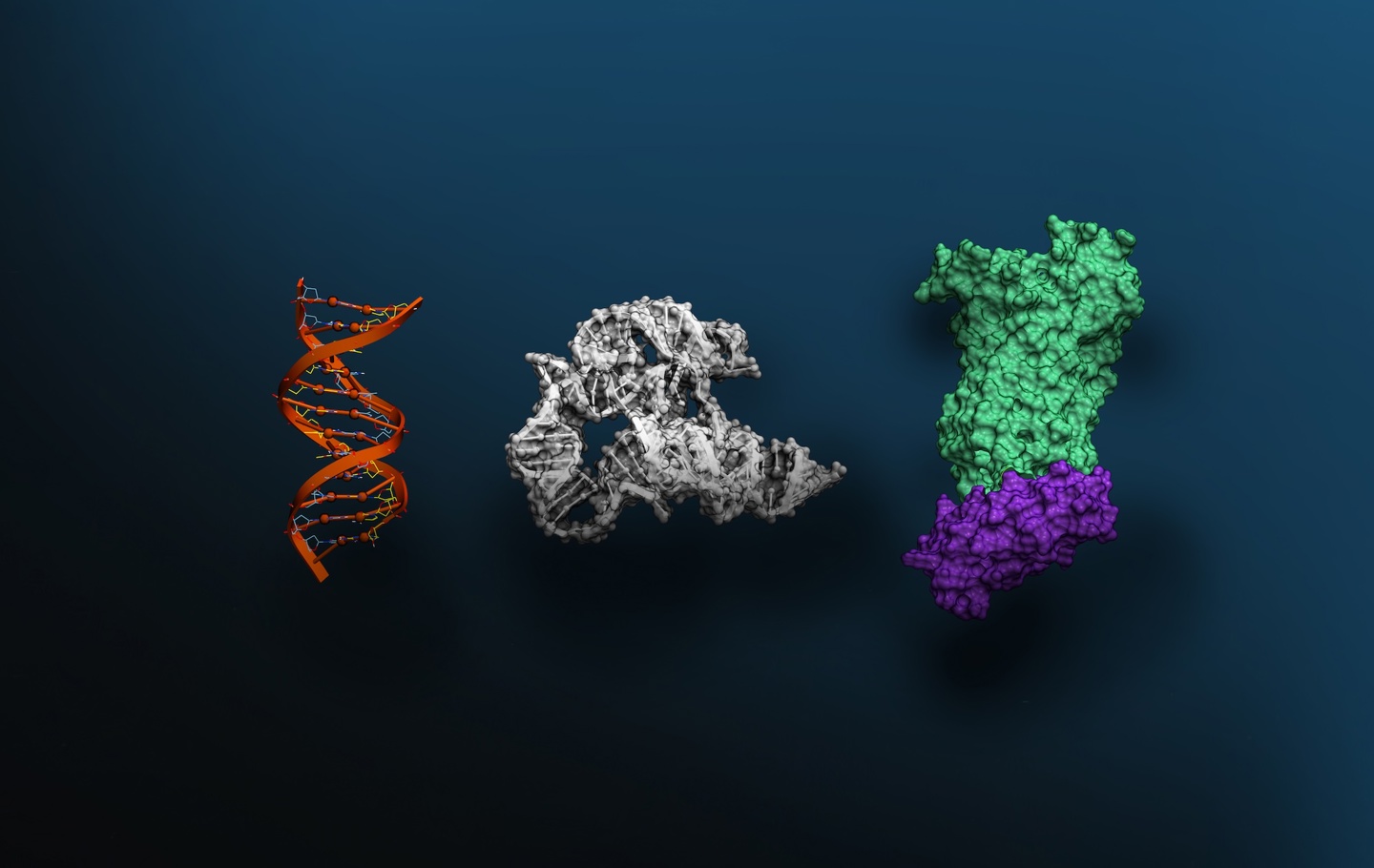 NVIDIA's BioNeMo Agent Toolkit now integrates with Anthropic's Claude Science, g — Image 2